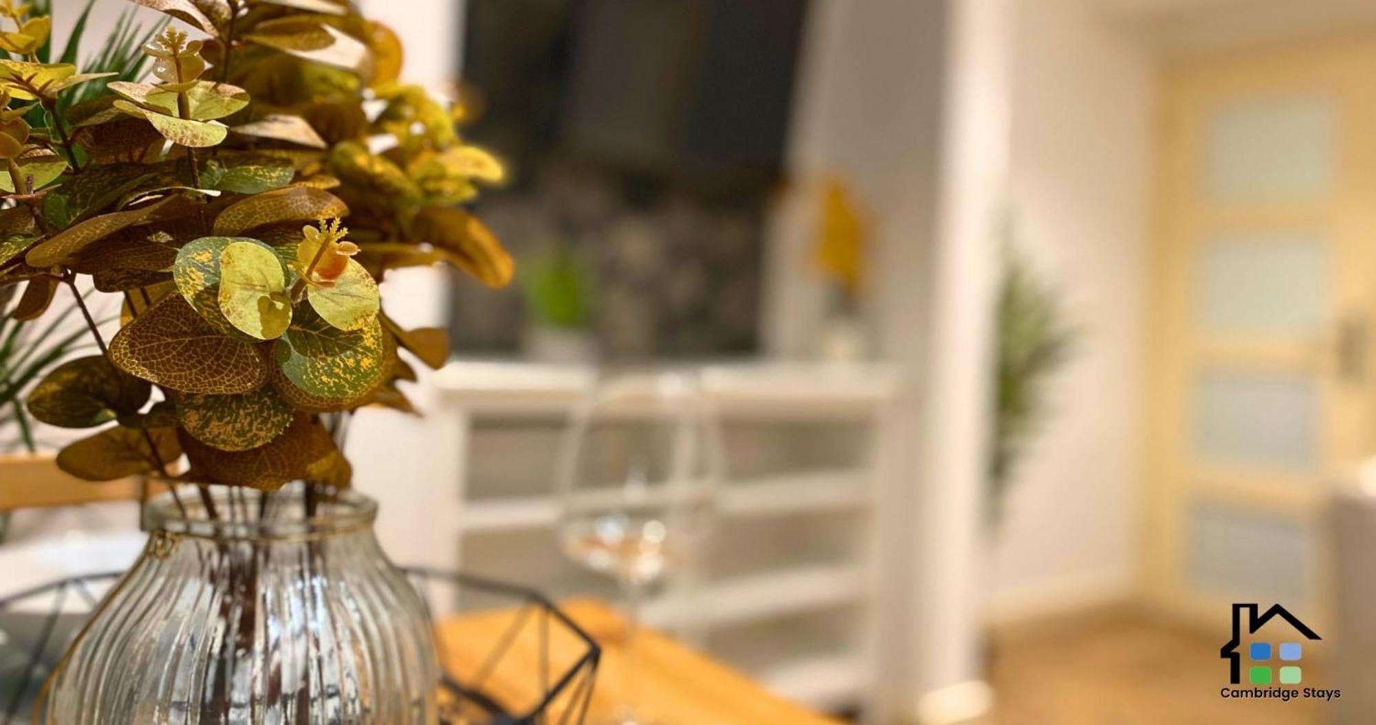 Stunning 1Br - Super Central- Peaceful Area - Lower Ground Apartment Cambridge  Ngoại thất bức ảnh